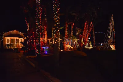 DSC_5792 (Large).JPG